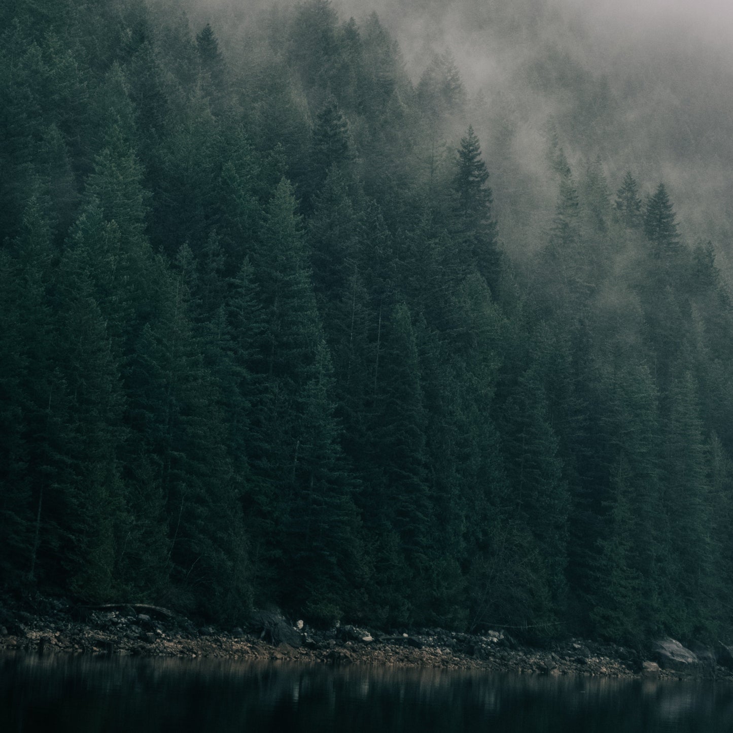 Wander