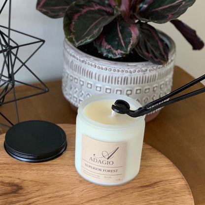 Wick Trimmer