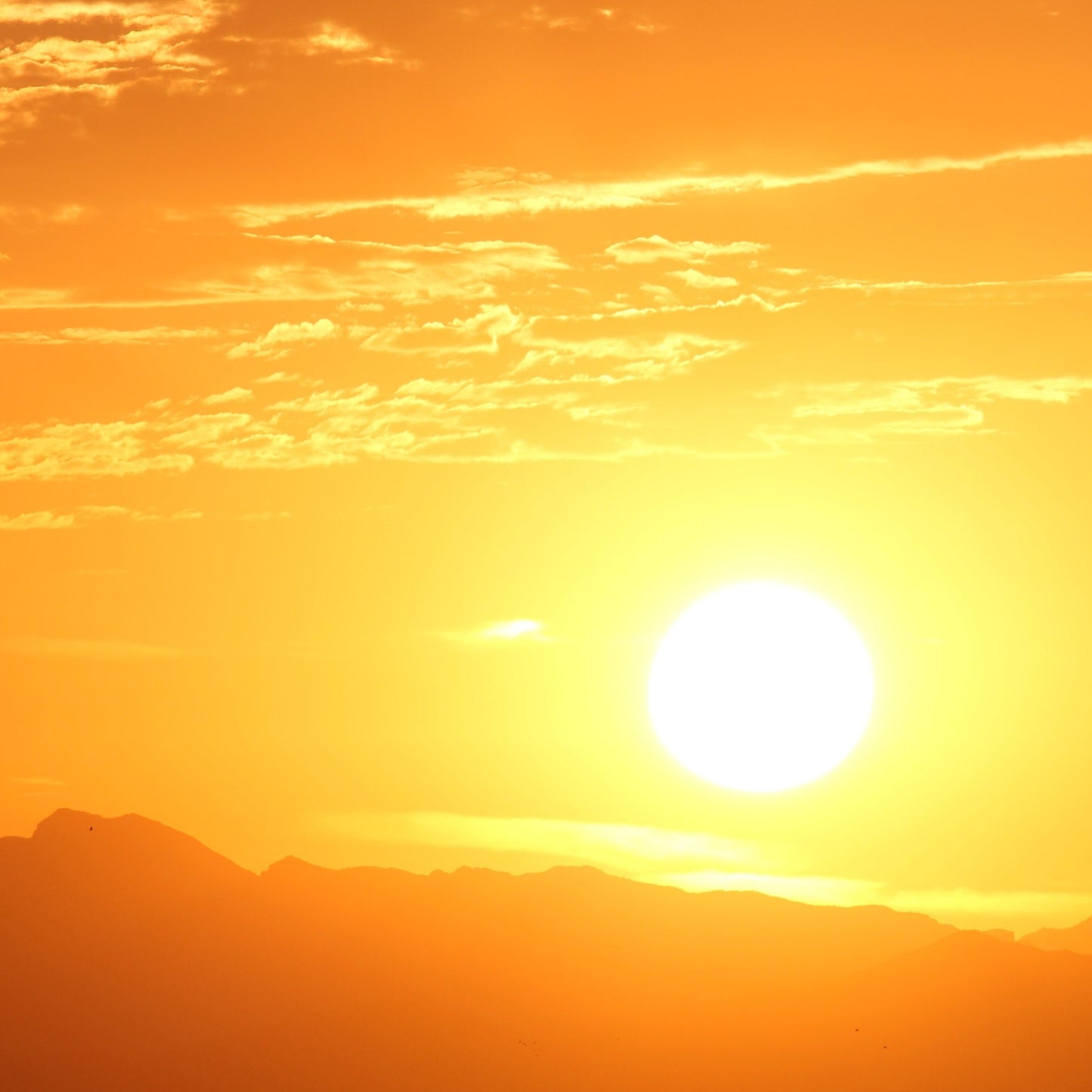 Summer Solstice